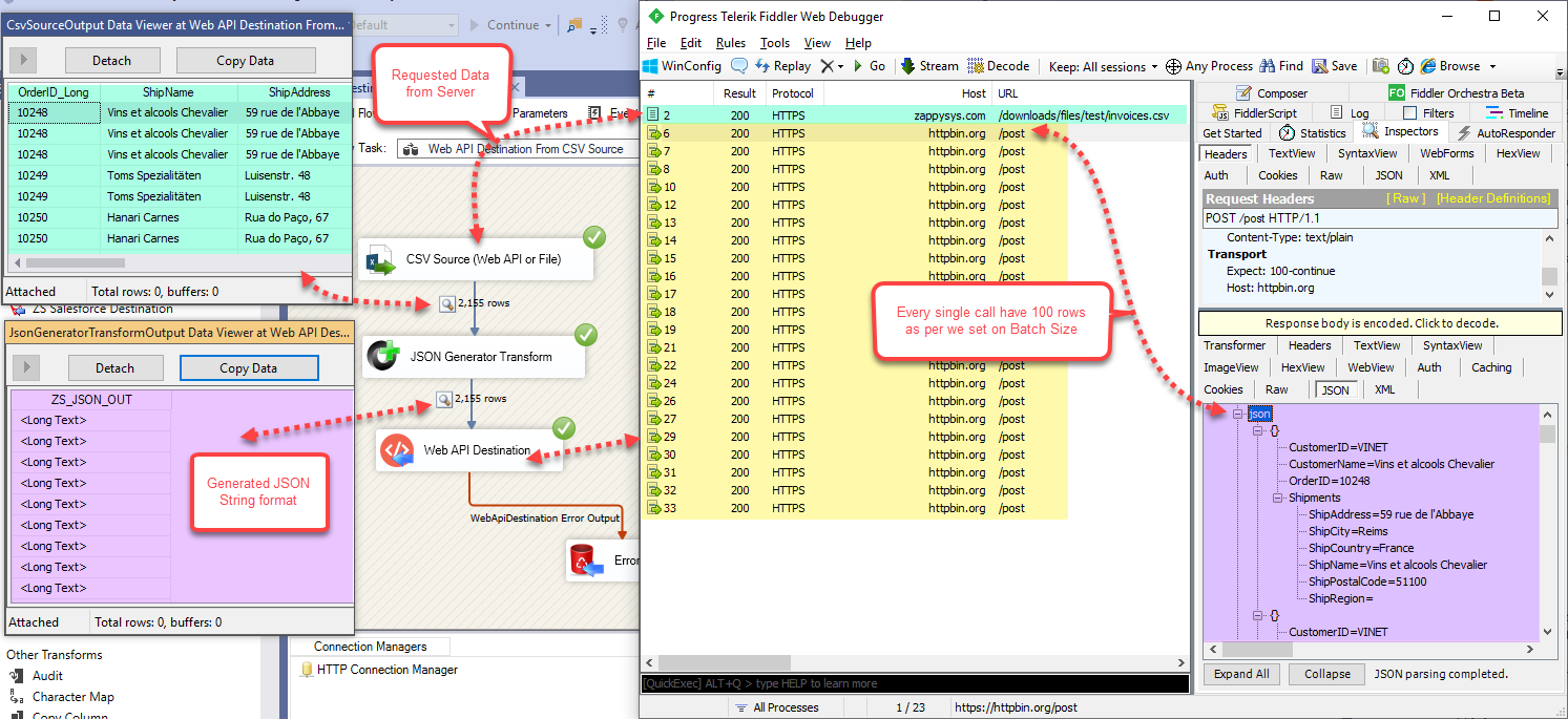 SSIS Execute the Package