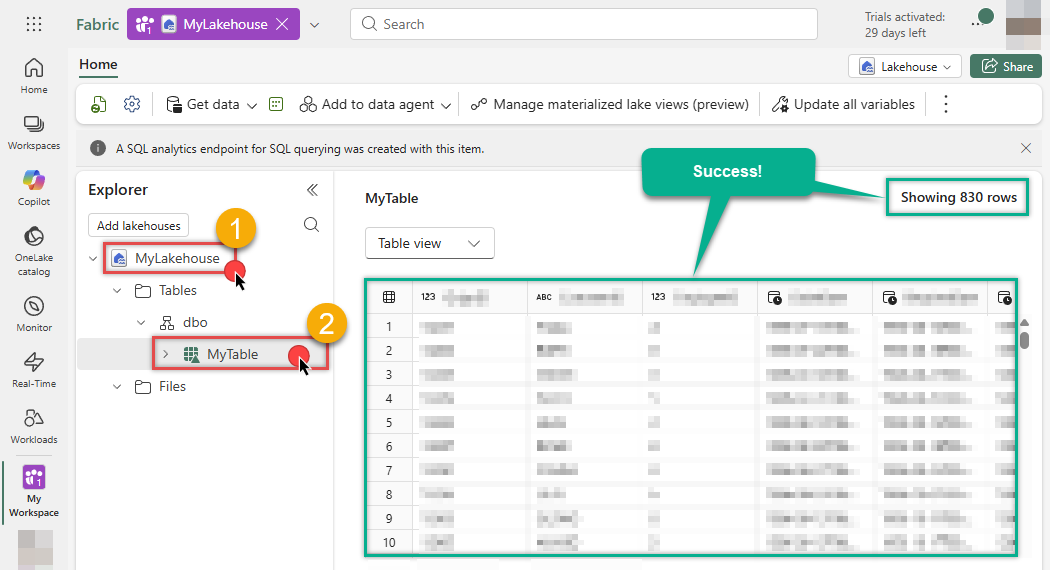 View loaded data in Microsoft Fabric Lakehouse