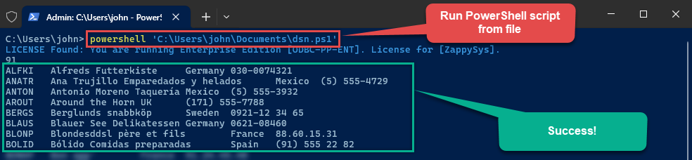 Read API data in PowerShell using ODBC DSN