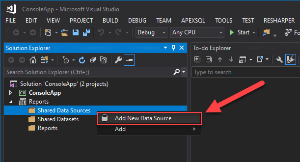 Adding a Data Source in SSRS project