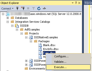 Execute SSIS Package using SSMS UI