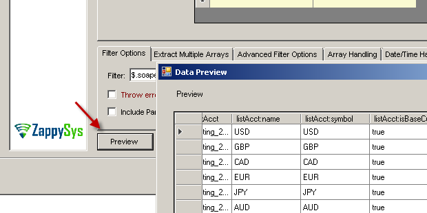 Preview NetSuite data in XML Source