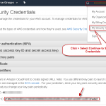 How to find AWS Account ID and Canonical User ID