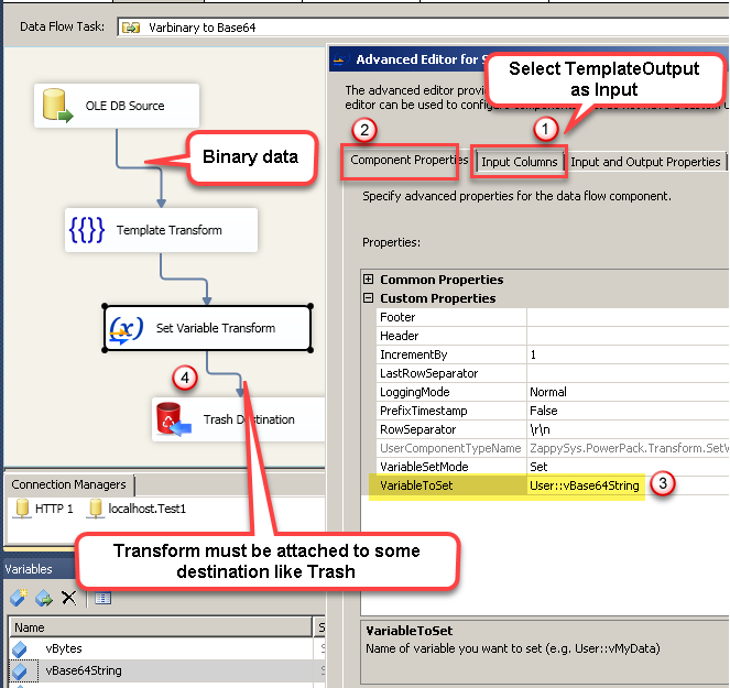 Using SSIS Set Variable Transform in Data flow (Capture binary data as base64 example)