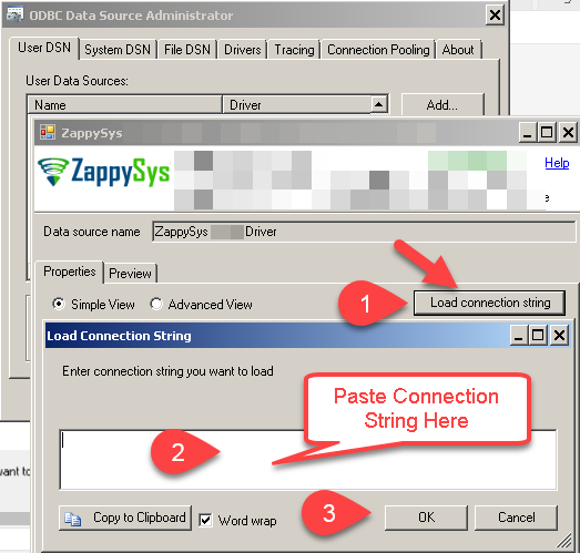 ZappySys Driver - Load Connection String