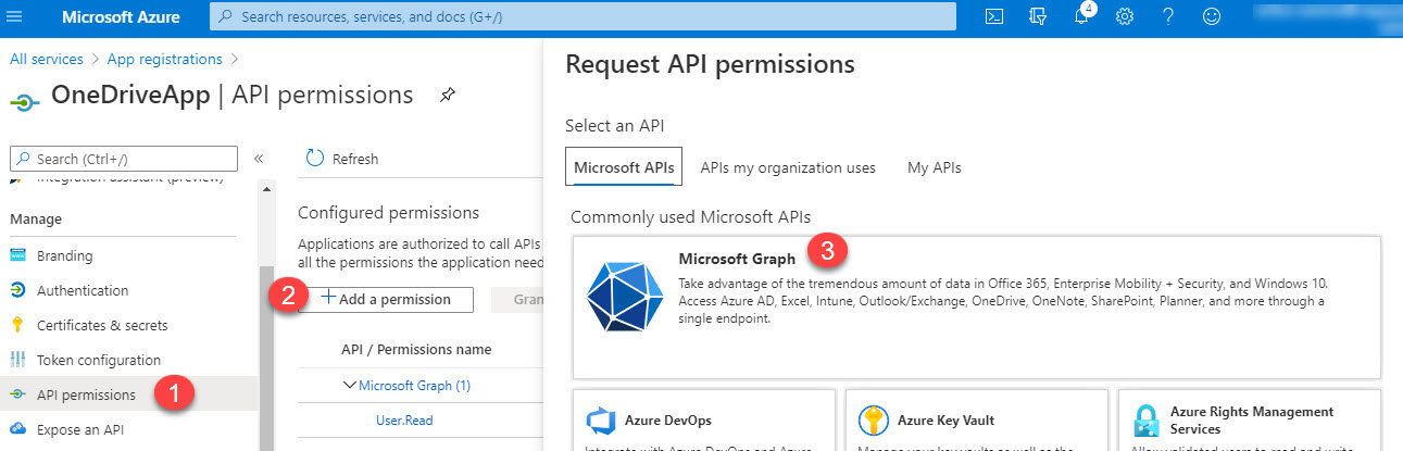 OneDrive API Permissions
