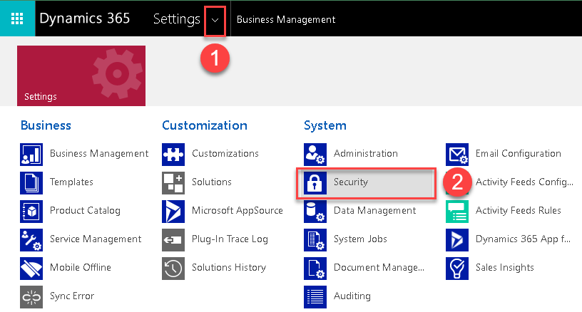 Dynamics CRM Security Settings (Under Advanced Settings - System)