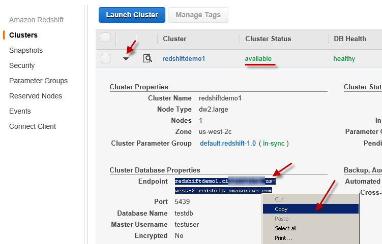 Check Amazon Redshift Cluster Status , Endpoint and Other Properties