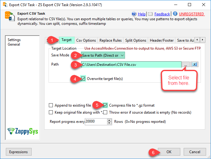 SSIS Export CSV File Task - Select Target Path and other options