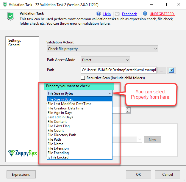 SSIS Validation Task - Property to check file